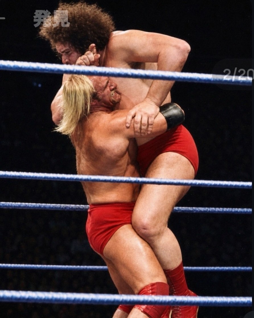 ハルク・ホーガン #アンドレ・ザ・ジャイアント #WWF