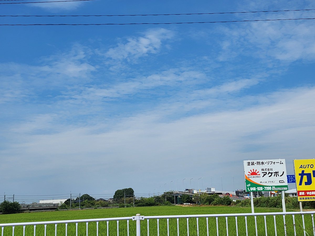 magushima's tweet photo. 用事終わって帰るんやな https://t.co/ZLLv35WPmZ