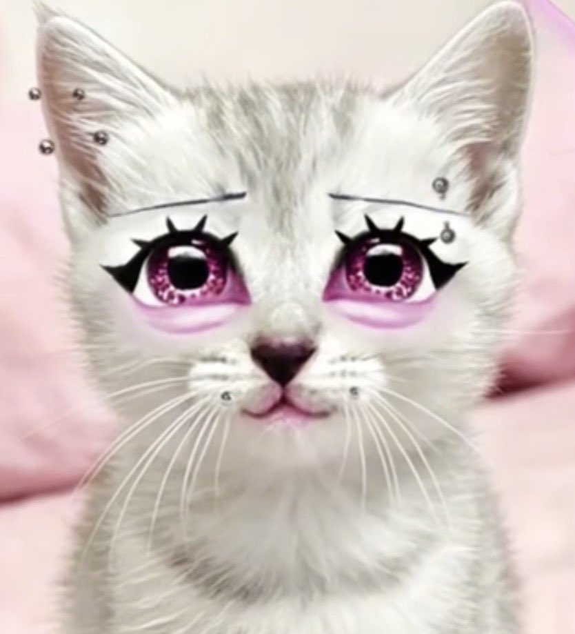 Starlightdolll_'s tweet photo. Hoy voy a salir para ver si me matan otros y no mi propio organismo https://t.co/EfSX61pmmx