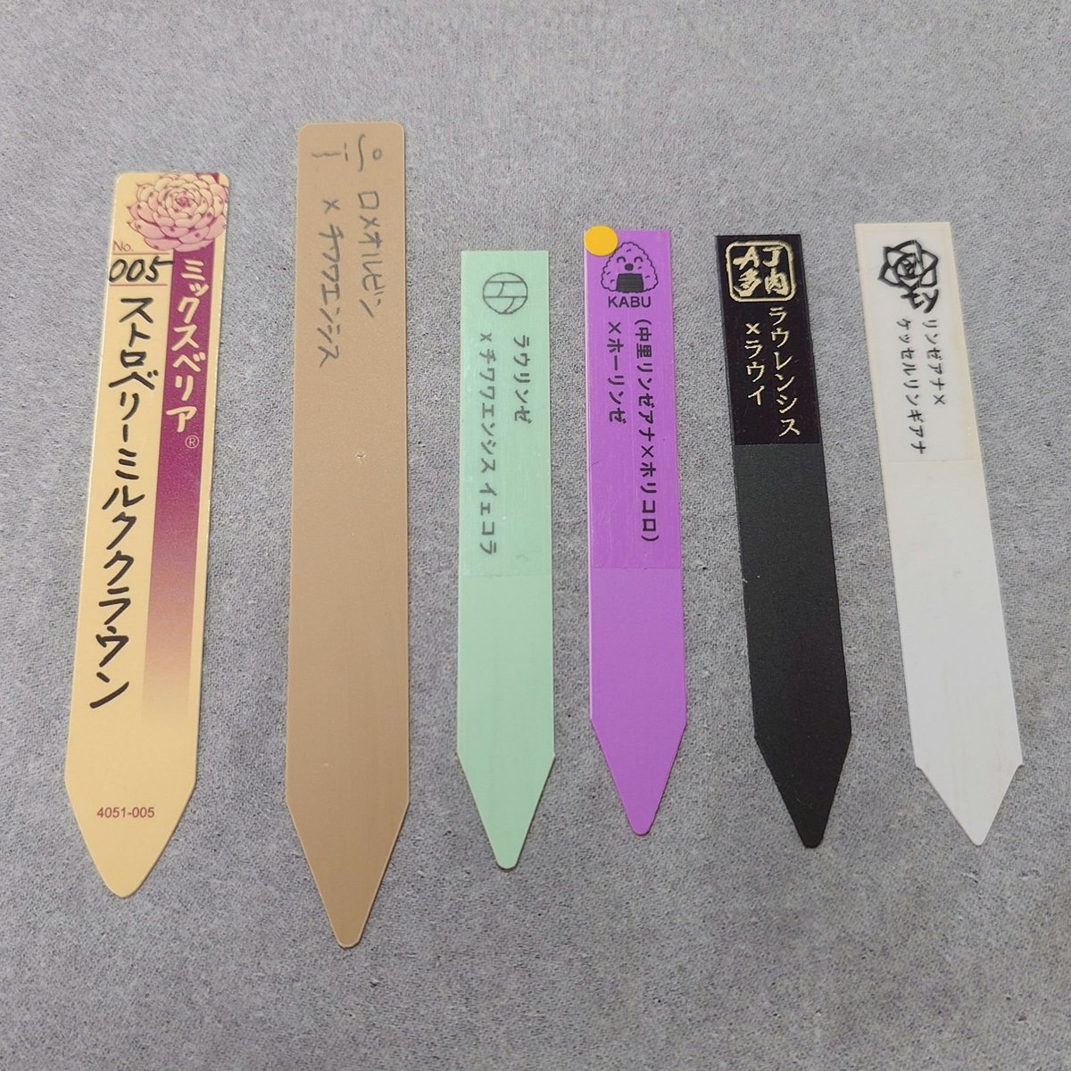 gmyigo's tweet photo. 普段鉢にオリジナルの札は刺していないので、ふと整理してみたら我が家から旅立った多肉がこんなにいました。ちなみに左から2番目と右から2番目が今夏の被害者様ですね… https://t.co/KnsrsrmcI6