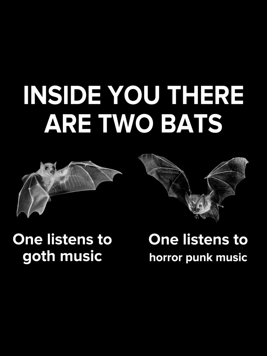 ShopNearDark's tweet photo. Obsessed with both! 🦇🦇 https://t.co/llcQZ67Dg3