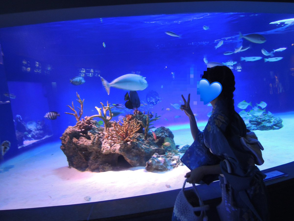 riria___0000's tweet photo. ＠KonaTsukine と浴衣着て水族館デートしてきた🩷 https://t.co/27509NUhOg