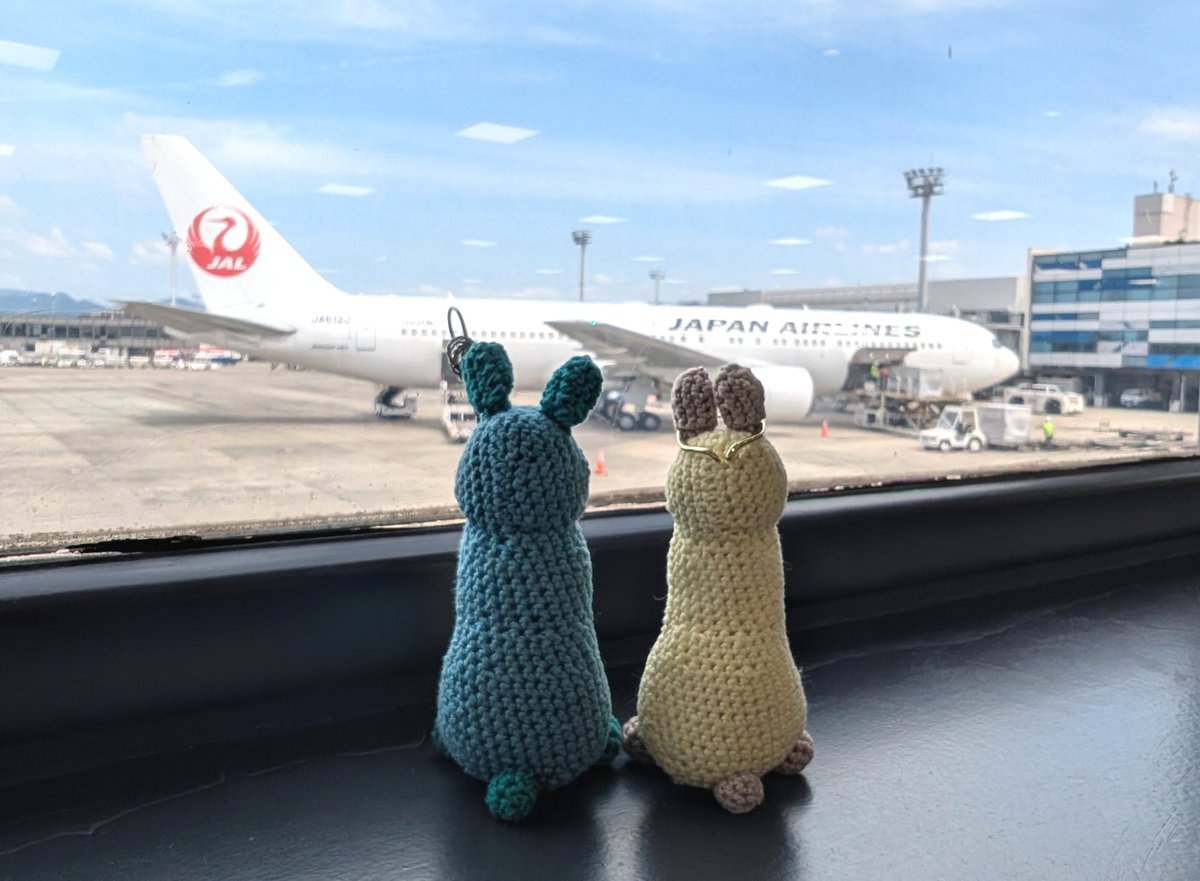 mochunabe's tweet photo. 飛行機だねえ https://t.co/b85Wwf9s1H