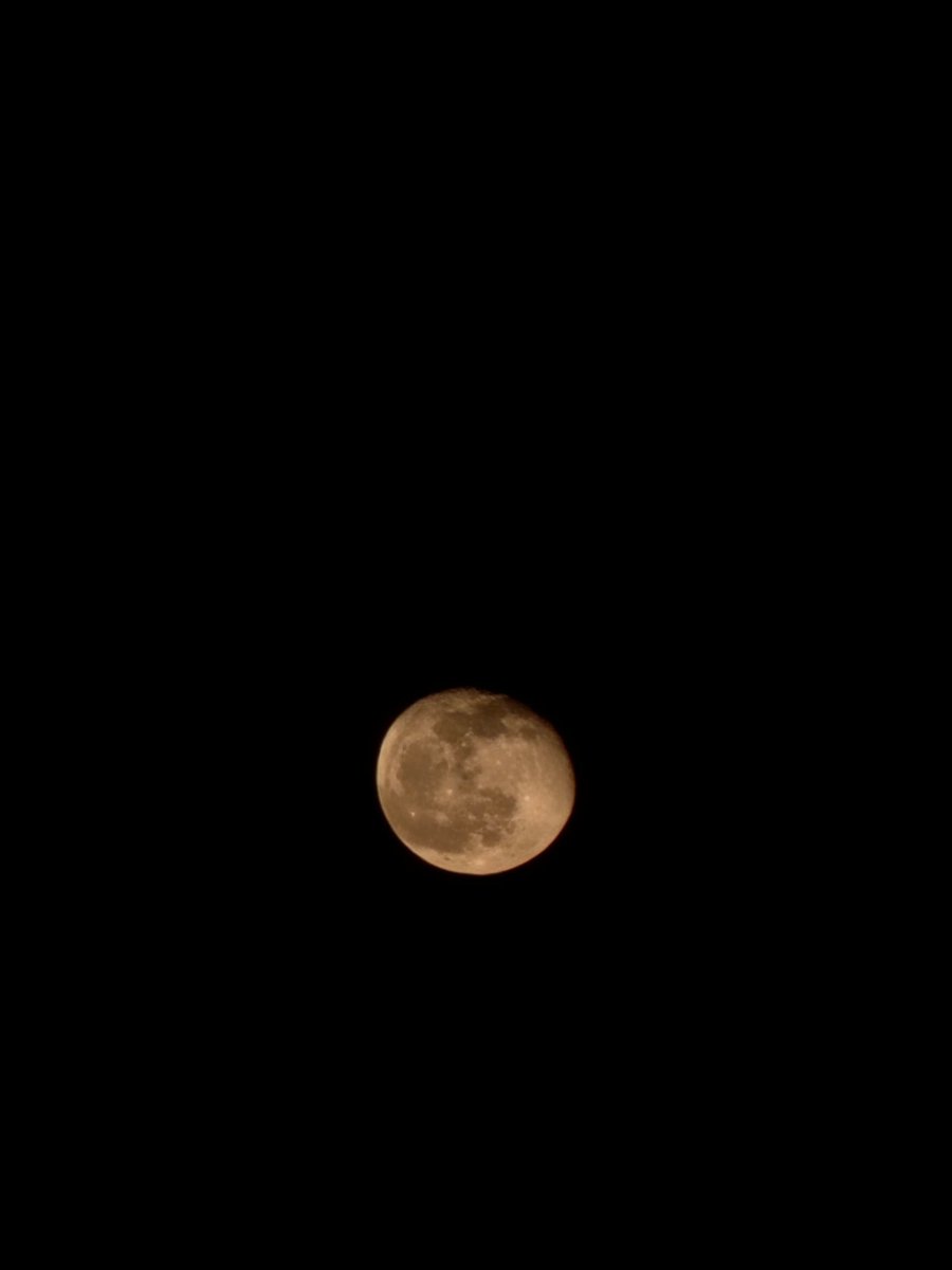 AdelAntoni's tweet photo. $Luna último viernes de julio dando un paso para agosto https://t.co/n8Na77UFFF