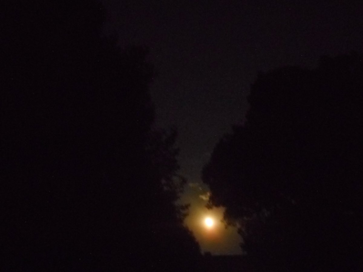 jjovanmusic's tweet photo. -
Ute´s (Ute Illig) 3 fotos von #vollmond #fullmoon
& von mich Јова (jovan jovanovic) beim malen
(bei nacht) heute am 30.07.2026 (at night)
#Artists 🎨 #painter #painting #paint https://t.co/ulOPHUmvVG