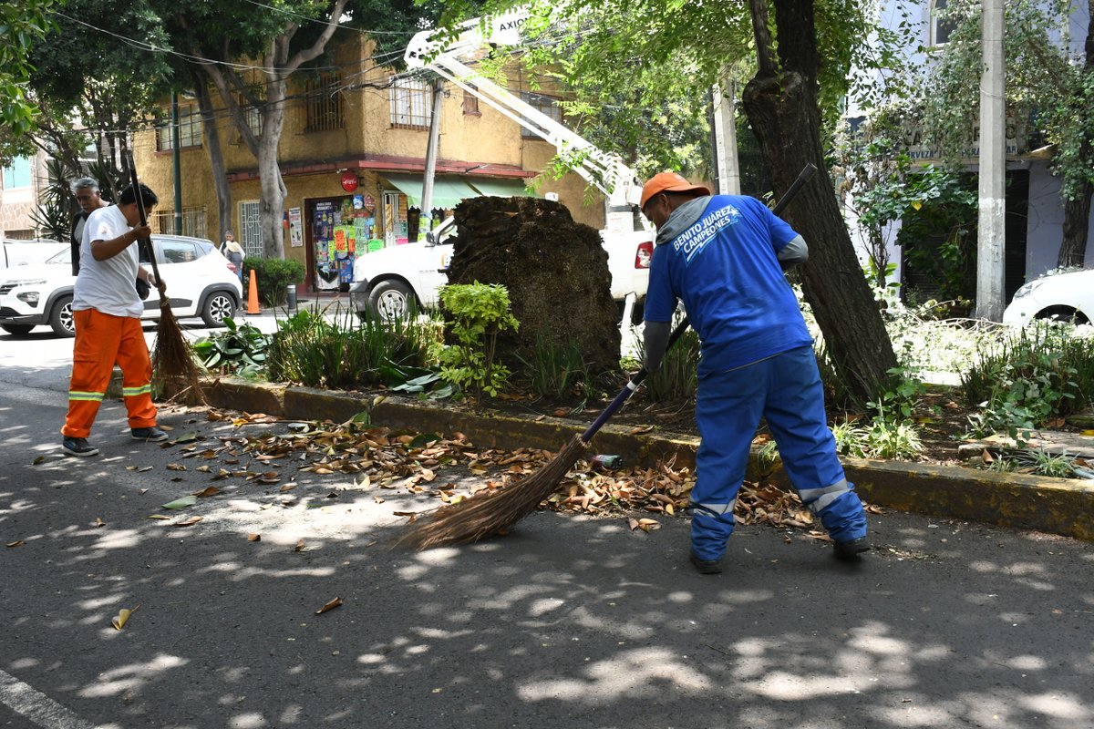 BJAlcaldia's tweet photo. Hoy la #DGSUBJ recorrió la colonia Iztaccíhuatl, acercando los diversos servicios urbanos a la comunidad para mantener nuestras calles más limpias, seguras y ordenadas.
Seguimos trabajando colonia por colonia para construir una mejor Benito Juárez. 🌳🚛✨ https://t.co/U7HsVzqhaJ