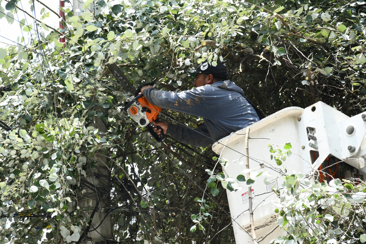 BJAlcaldia's tweet photo. Hoy la #DGSUBJ recorrió la colonia Iztaccíhuatl, acercando los diversos servicios urbanos a la comunidad para mantener nuestras calles más limpias, seguras y ordenadas.
Seguimos trabajando colonia por colonia para construir una mejor Benito Juárez. 🌳🚛✨ https://t.co/U7HsVzqhaJ