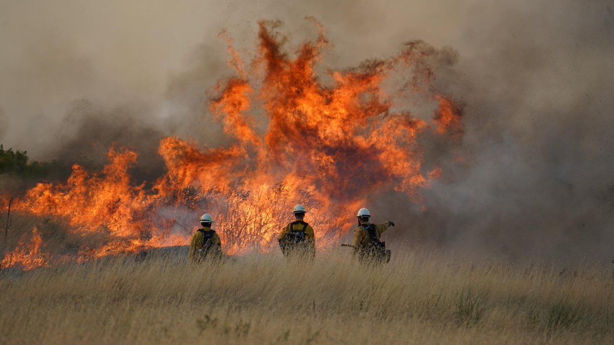 BridgerAero's tweet photo. Not much rest this week. The crews have been working hard.

Here's what we're flying into:

🔥 GRASSHOPPER FIRE, OR - 23,672 acres | 0% Contained

🔥MODRITE FIRE, WA - 37,074 acres | 27% Contained

🔥BIG GRASS FIRE, OR+ID - 304,226 acres | 21% Contained

#grasshopperfire #modritefire #biggrassfire #oregonfire #washingtonfire #idahofire