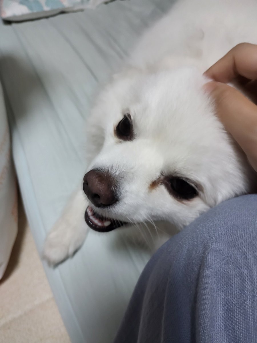seen1520's tweet photo. 오늘 아침두요 https://t.co/epDF7nSreJ