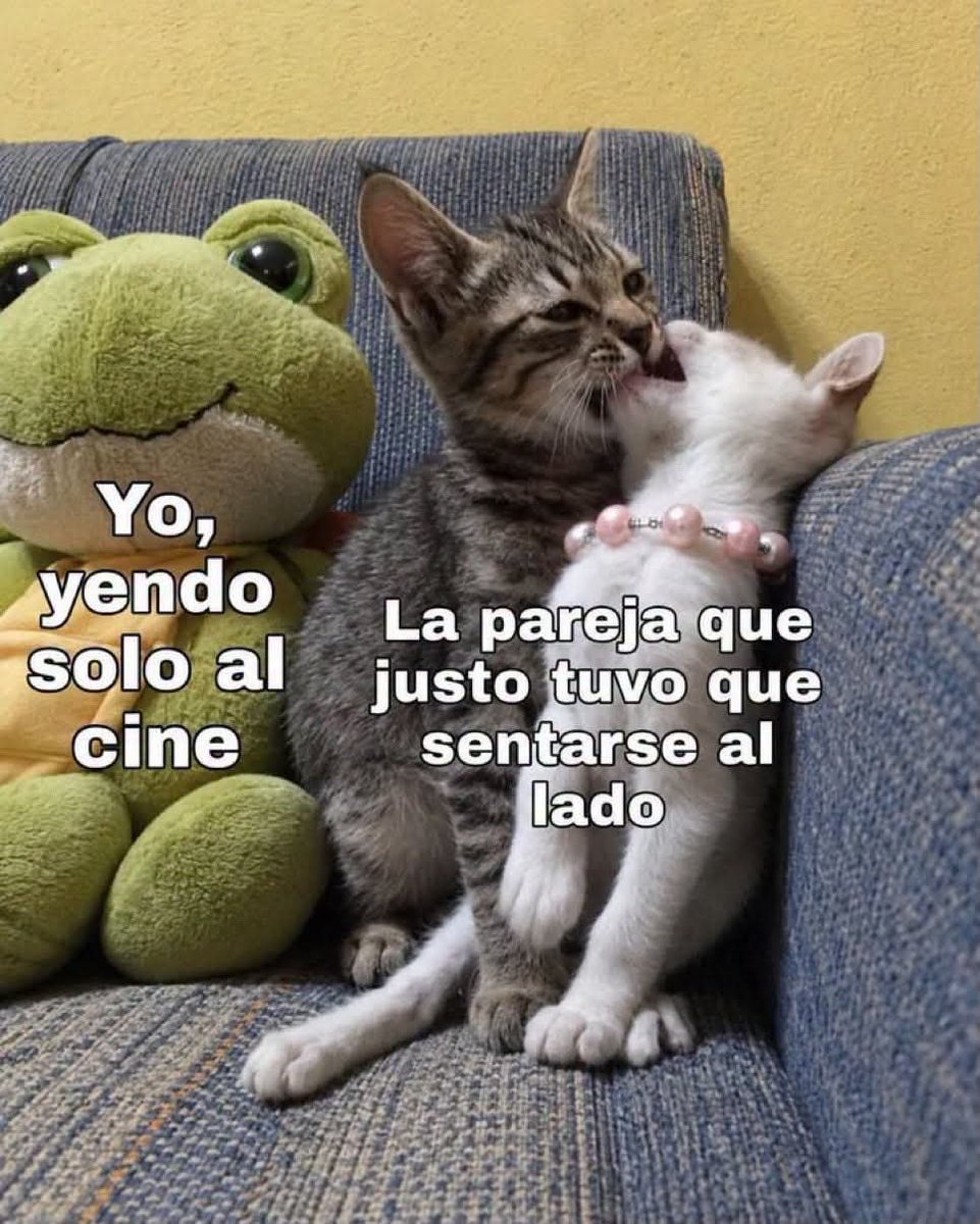 angelo_uf's tweet photo. Ya estoy harto 😤 https://t.co/wf6XE2cvhj