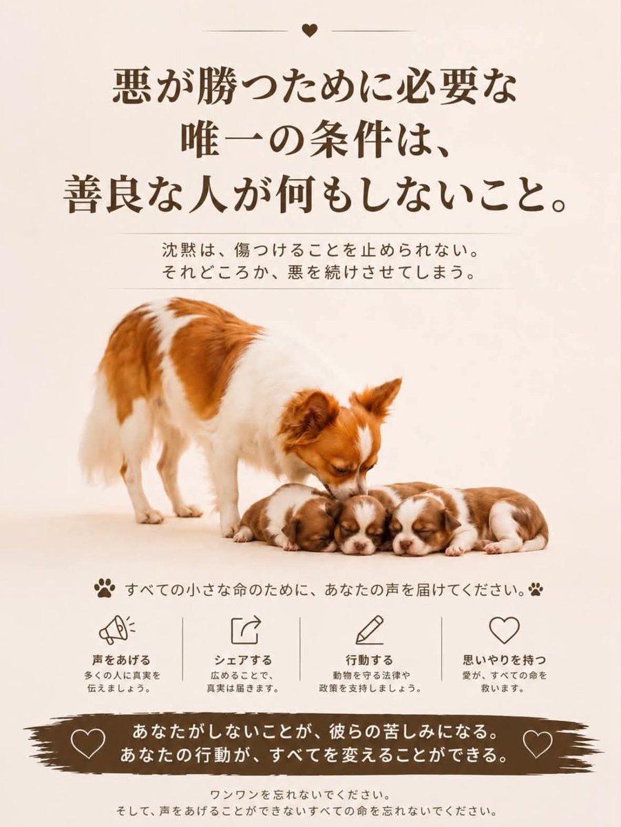 Chochoco_game's tweet photo. 彼女の死を無駄にしないために
ひとりでも多くの人が知って
行動してくれたら嬉しい。
そしてどうか忘れないでください。
彼女を。彼女が守りたかった尊い命を。
#旺旺
#Justiceforwangwang https://t.co/KifutdpnzR