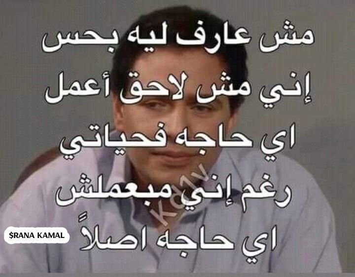 . tweet media