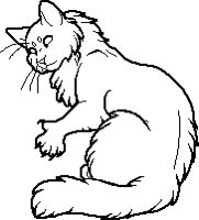 Kittieeepaw's tweet photo. The kin wiki sprite is so fucking tuff https://t.co/Vd68D5hfPZ