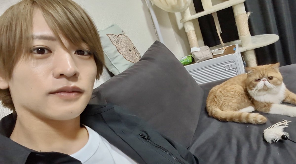 minnano_zoo_ntv's tweet photo. #嗚呼みんなの動物園 
今夜7時から！

花＊花 おのまきこさんが預かる
ブサカワ猫「ニャオハ」🌿の元には
timelesz猪俣周杜さんが訪問💛

猫愛が止まらない猪俣さん、
持ってきた袋の中には
大量のおもちゃとおやつが🤩

ぜひご覧ください💕 https://t.co/VetFqYv4hL