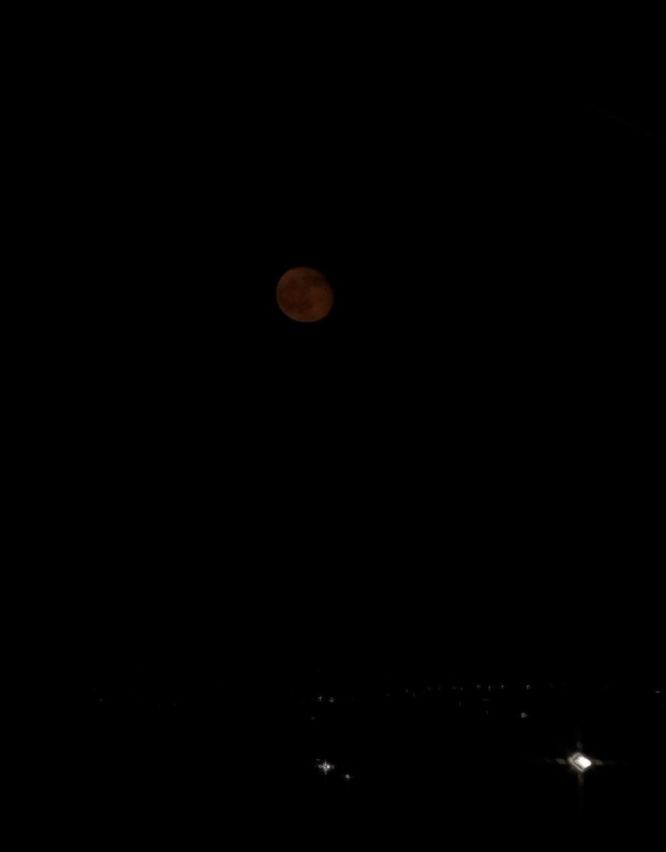 v4mp13re's tweet photo. blood orange moon tonight https://t.co/qFRb3uQi5G