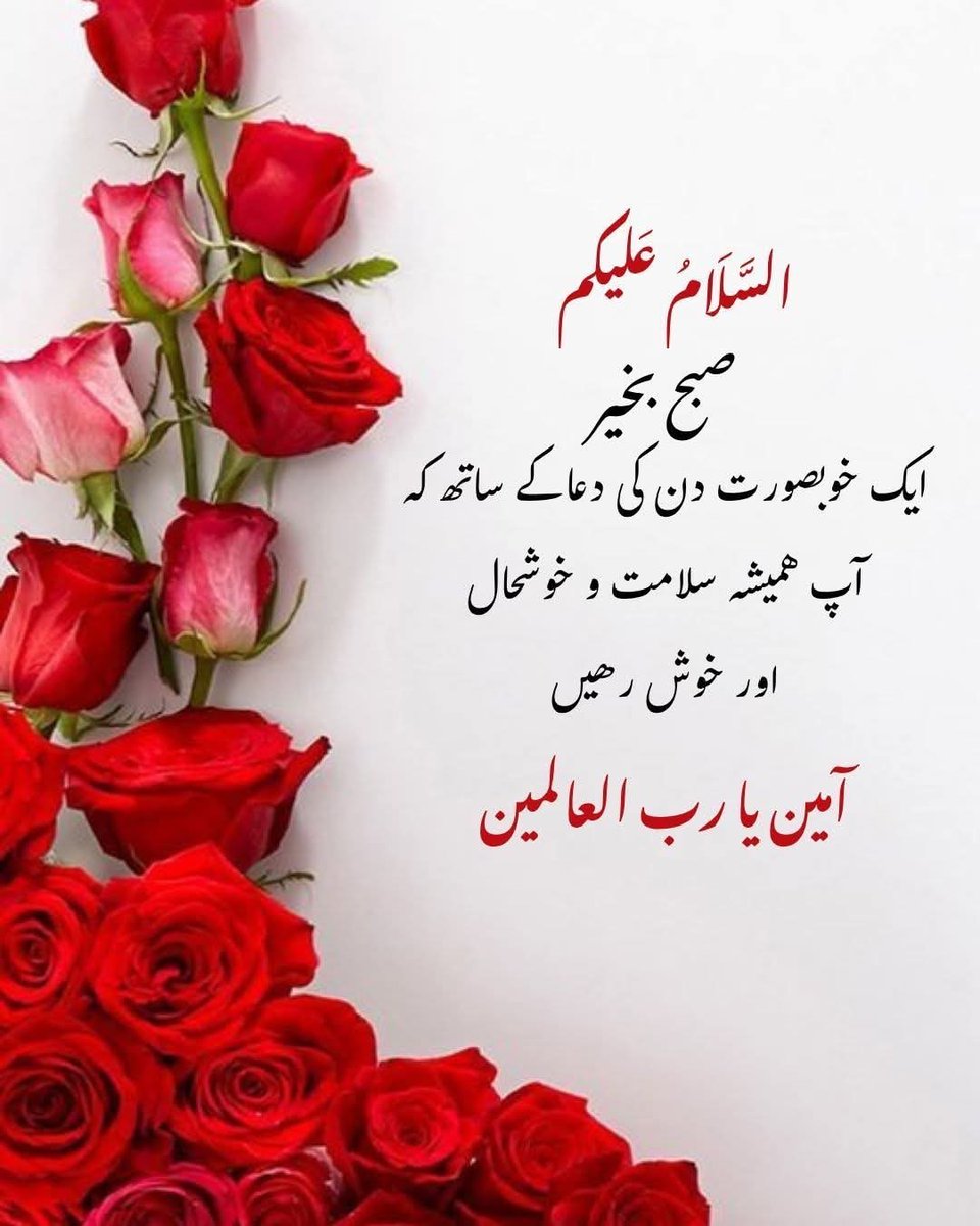 Meshaheena's tweet photo. السلام عليکم۔  
سلامت رہيں آپ سب آمين۔ https://t.co/AsIEJHcDUI