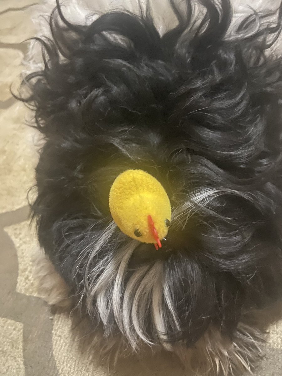 cakeeparty's tweet photo. hi moots i was celebrating my sons birthday today so i wasnt on..sorry if u guys missed me. this is my son https://t.co/wfqyPElegq