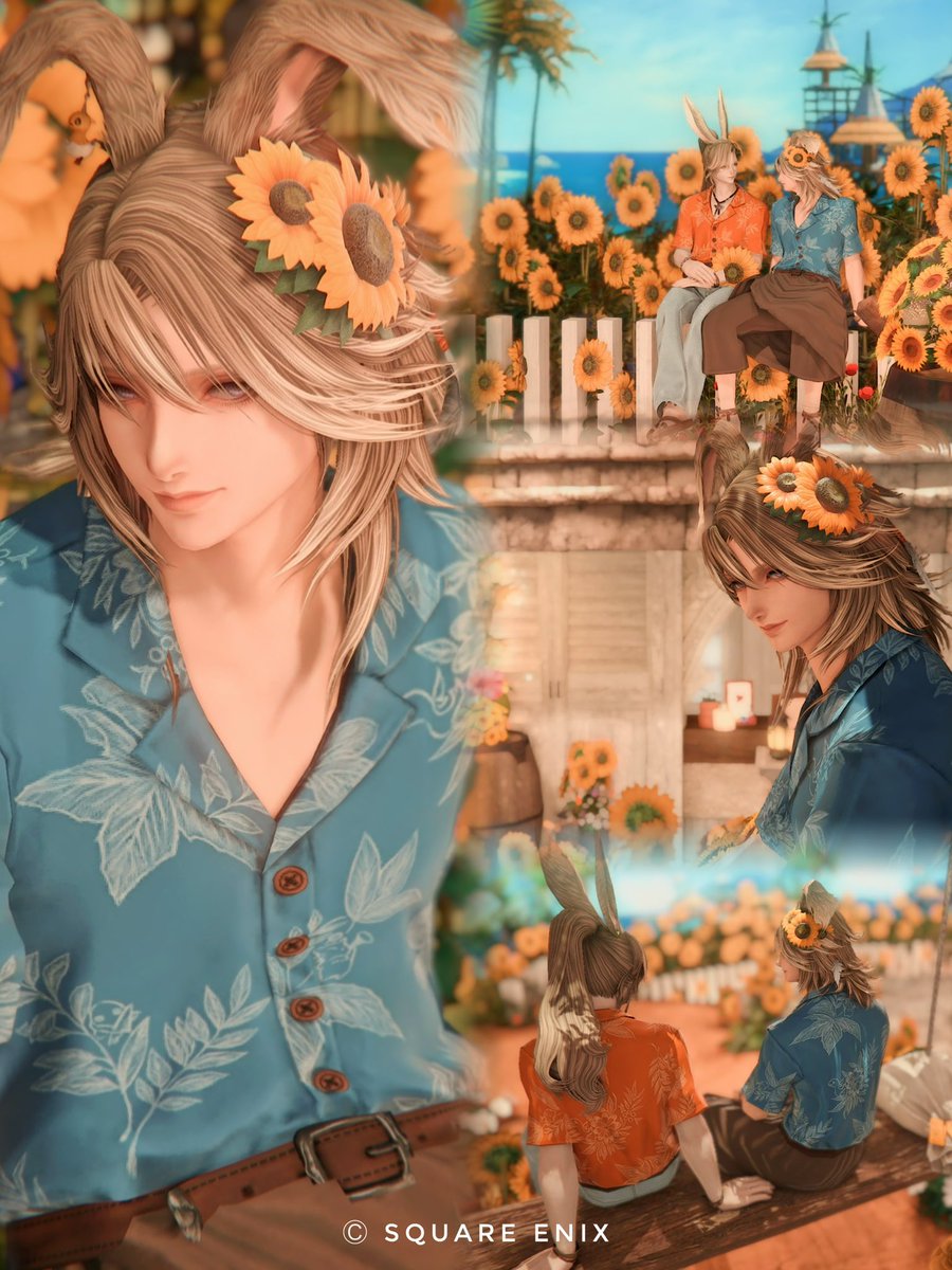 tottokobuntaroo's tweet photo. せつさんとひまわり🌻🌻
🏷️ #HousingNoah https://t.co/71pHOlmm3E