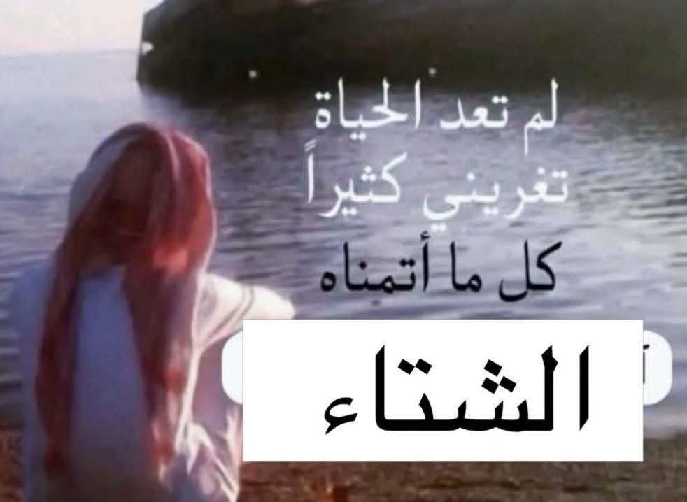hagerashraf tweet media