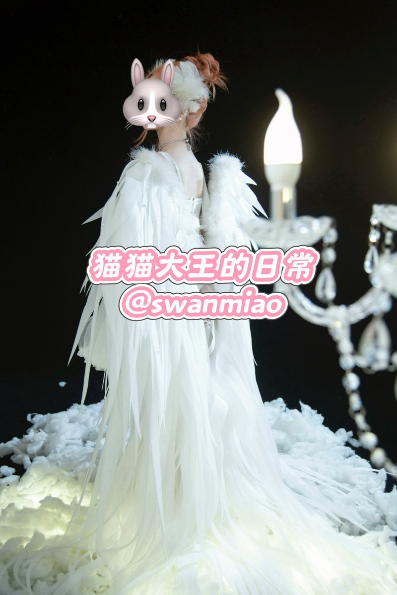 swanmiao's tweet photo. 白天鹅🦢猫猫超级美猫猫有拍很多套各种风格的整套脸照哦都是只���我的🚪哥才能享受到的坚持每日更新可以看哥哥们给我P4的好评露脸好评合集说我真的好美还想把我抱起来亲哥哥们咨询具体直接推特私信我or➕qq3104394480发口令30后续补差价入门（回复更快qq空间有美照哦）情绪价值拉满滴福利也超多哦 https://t.co/dKv7Yd76pU