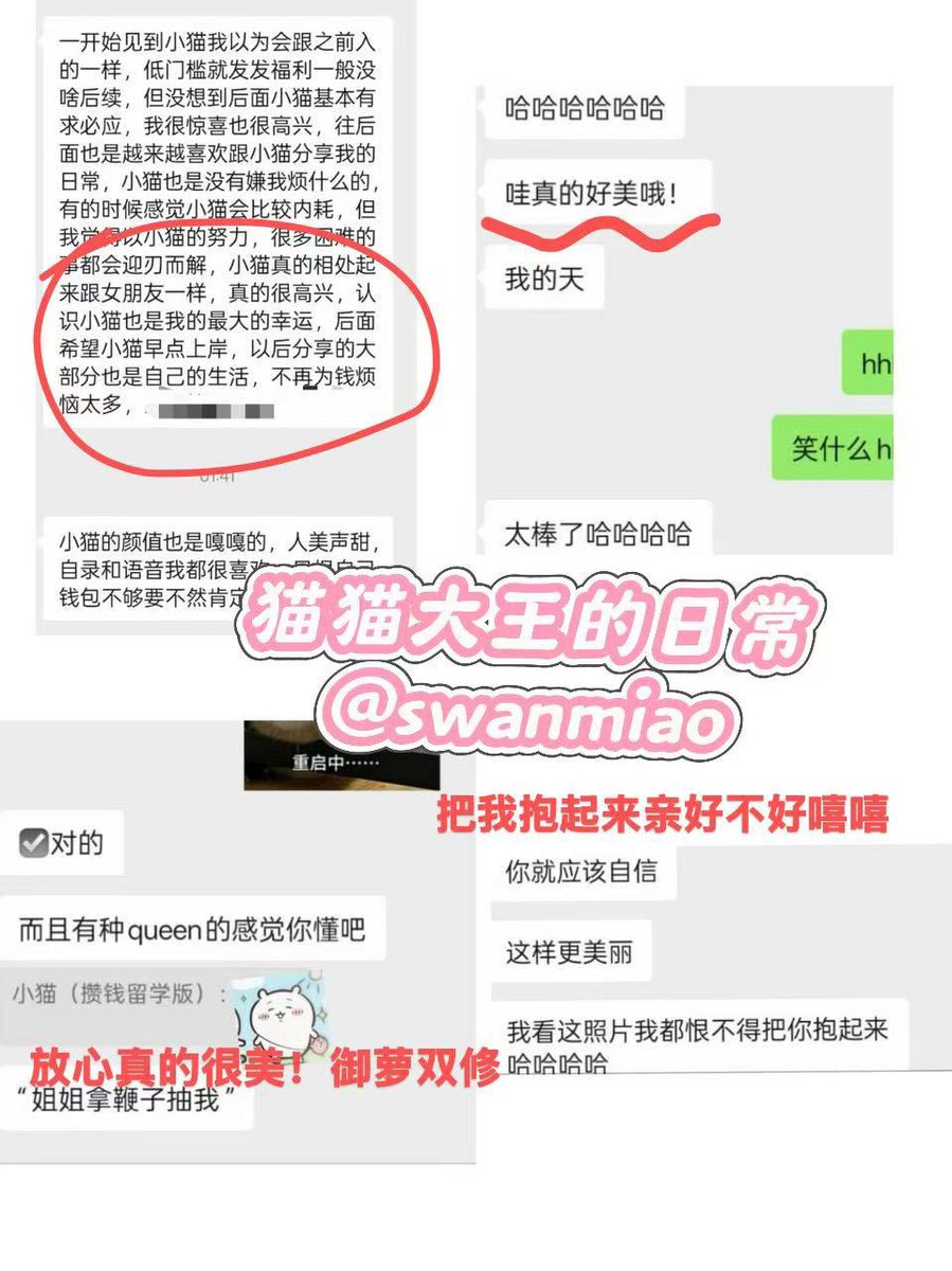 swanmiao's tweet photo. 白天鹅🦢猫猫超级美猫猫有拍很多套各种风格的整套脸照哦都是只���我的🚪哥才能享受到的坚持每日更新可以看哥哥们给我P4的好评露脸好评合集说我真的好美还想把我抱起来亲哥哥们咨询具体直接推特私信我or➕qq3104394480发口令30后续补差价入门（回复更快qq空间有美照哦）情绪价值拉满滴福利也超多哦 https://t.co/dKv7Yd76pU