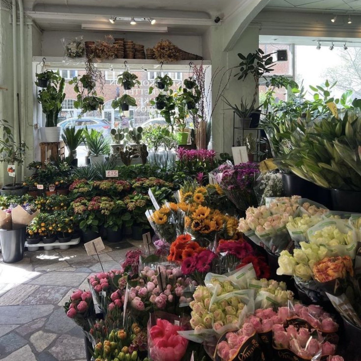 aftrhrs_exe's tweet photo. ㅤ  

                      [ ✈  : https://t.co/SOEkVYMPh7 ]

⌲ Next agenda of the day is to send out flowers to my girl friends hahaha. Good thing there's a flowershop near my place. Happy gf's day, oomfs. xoxo. https://t.co/nQIou803dx