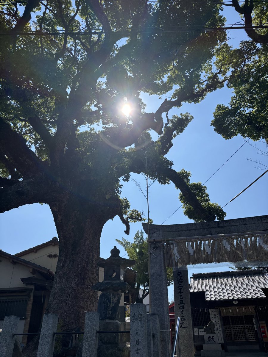 yu1778to's tweet photo. 朔参りに行くようになって、5年半。病気をするとホント気持ちが弱くなって...苦しい時の神頼み。でも欠かさず毎月行ってる自分にビックリもしてます🤭 https://t.co/bNZC8n6IPB