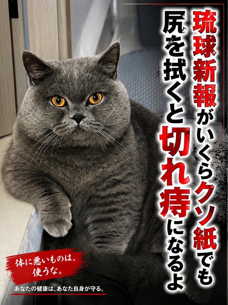sakurasaku1894's tweet photo. いいか、大事な事だからよく聞けよ。
琉球新報がいくらクソ紙でも尻を拭くと切れ痔になるぞ
#辺野古 
#辺野古沖１６人死傷転覆事件を風化させるな 
#共産党 https://t.co/fHsFJrZ6cs