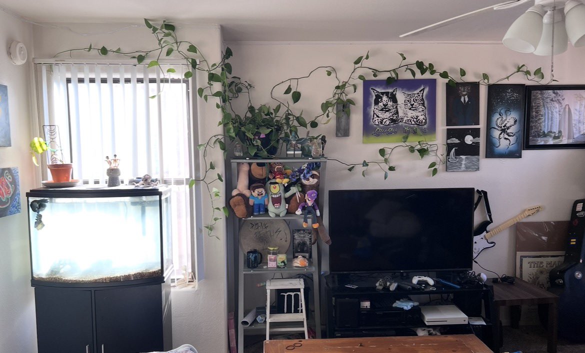 fayyfayyyth's tweet photo. I need to move a few things around still but https://t.co/y1Mk26Pw4v