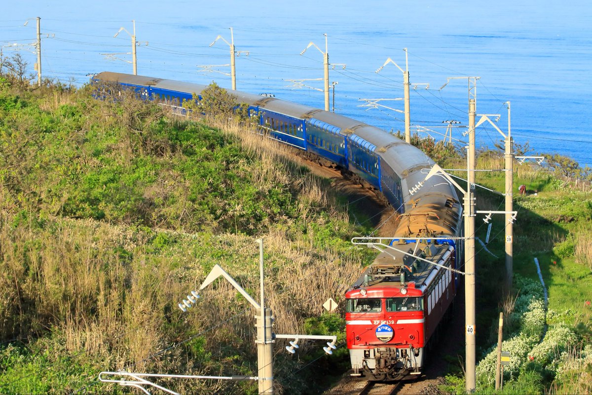 hight_s's tweet photo. #EF81の日 https://t.co/Ol72Vo4TDI