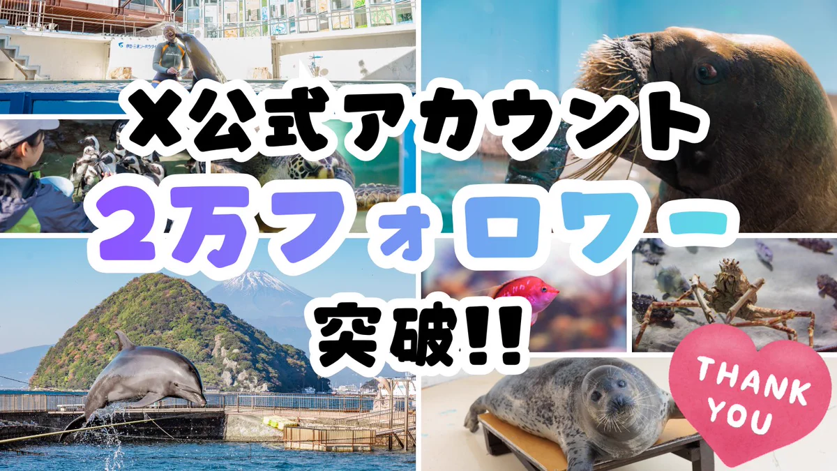 水族館 - Search / X