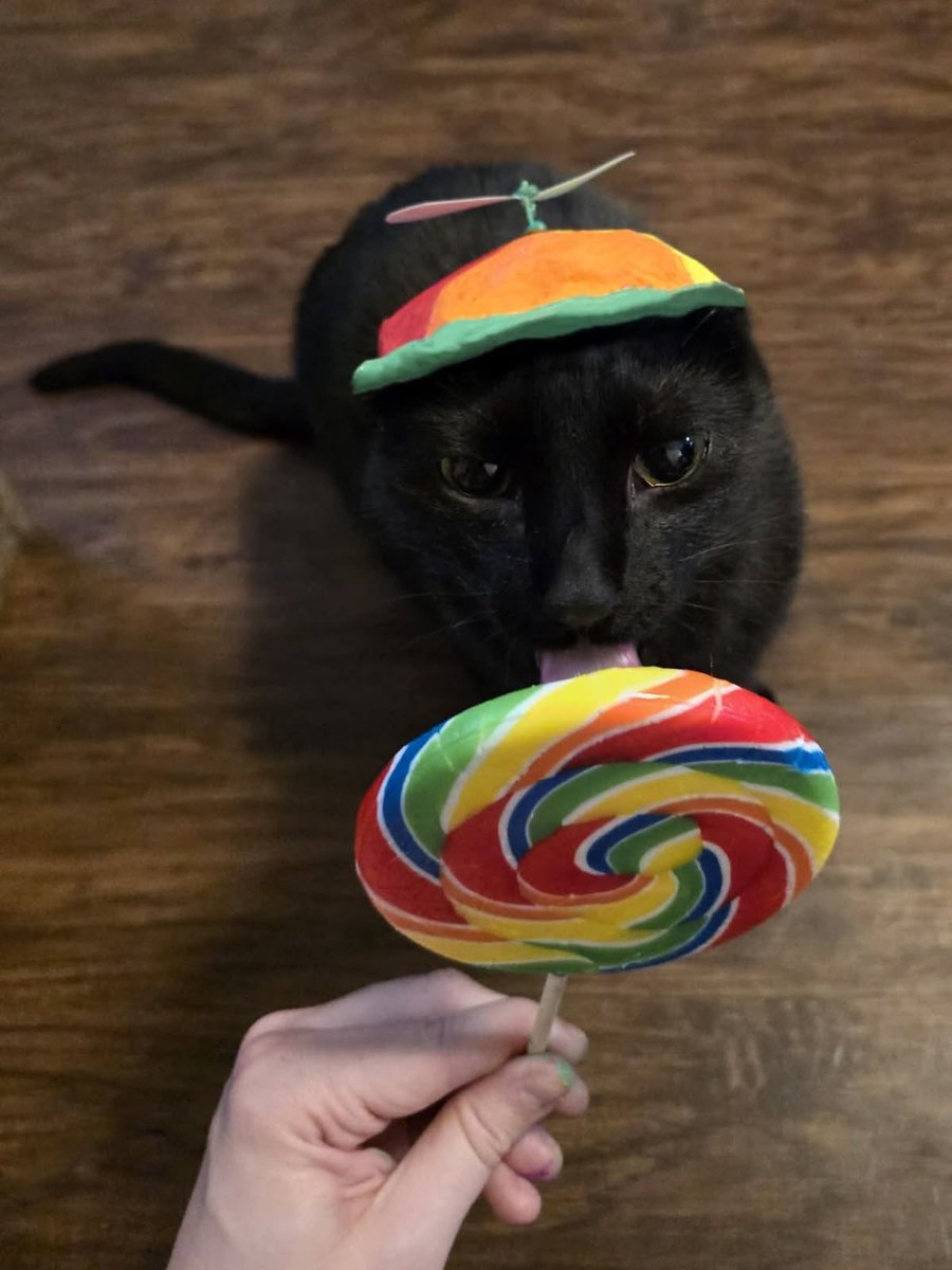 blackscats's tweet photo. https://t.co/wtdqUDZq3y