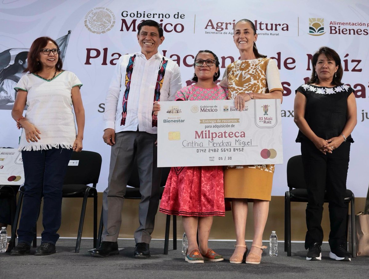 Letamaya's tweet photo. En Suchilquitongo #Oaxaca, acompañamos a la presidenta @Claudiashein en la entrega de recursos a agricultoras y agricultores que forman parte del Plan Nacional #ElMaízEsLaRaíz, que tiene como objetivo garantizar la producción de maíz nativo y conservar su diversidad biológica y cultural.

El maíz es elemento de identidad nacional, alimento básico del pueblo y la base de la existencia de los pueblos indigenas y afromexicanos .

Por eso: sembrar maíz es sembrar #Bienestar. 

@salomonj @columbalopezg  @Mary_Luisa_AG #FlavioAragónCuevas