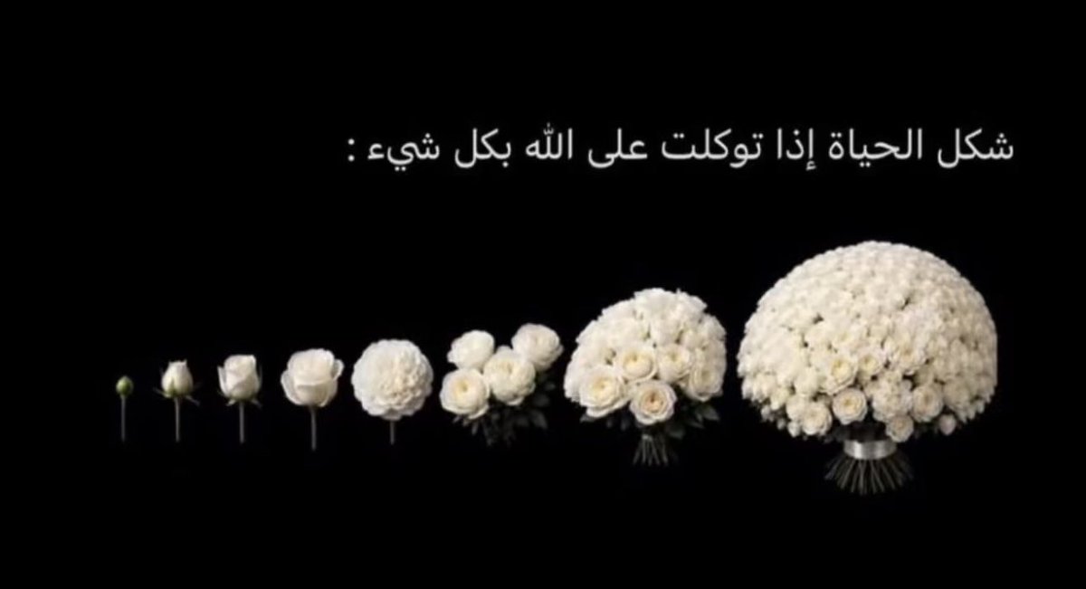 Rililif's tweet photo. https://t.co/RV3oQIp2hy