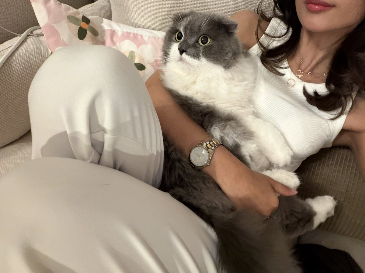 soattractiv's tweet photo. Julllly❣️ https://t.co/0Kq3NiFbZb