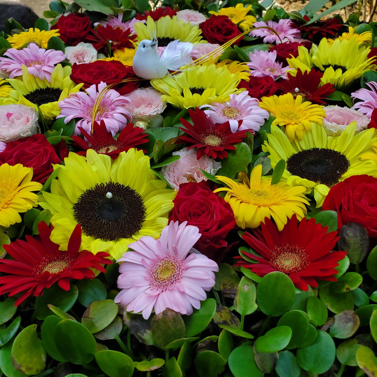 A68218660's tweet photo. #東急線花手水巡り
#東急世田谷線
#世田谷駅
#圓光院
#花手水 https://t.co/AXGRz6hEhE
