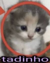 rurunerigus's tweet photo. minha mudança pro ape novo nem começou ainda e eu já tô mentalmente exausto https://t.co/oz1zhat0Am