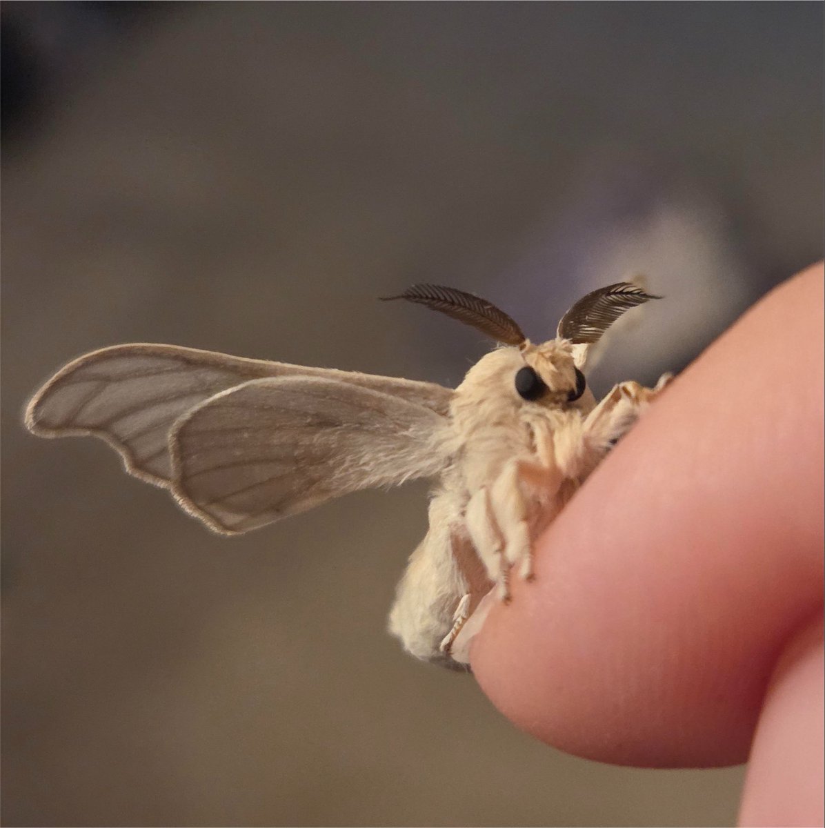 ZakyrieHrpschrd's tweet photo. @shepherd_0821 B
Lämp
   l
  d https://t.co/B97f80nWXY
