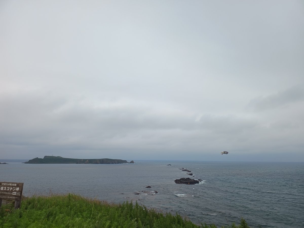 _ksoda's tweet photo. 礼文島 https://t.co/0YaR85l5iD