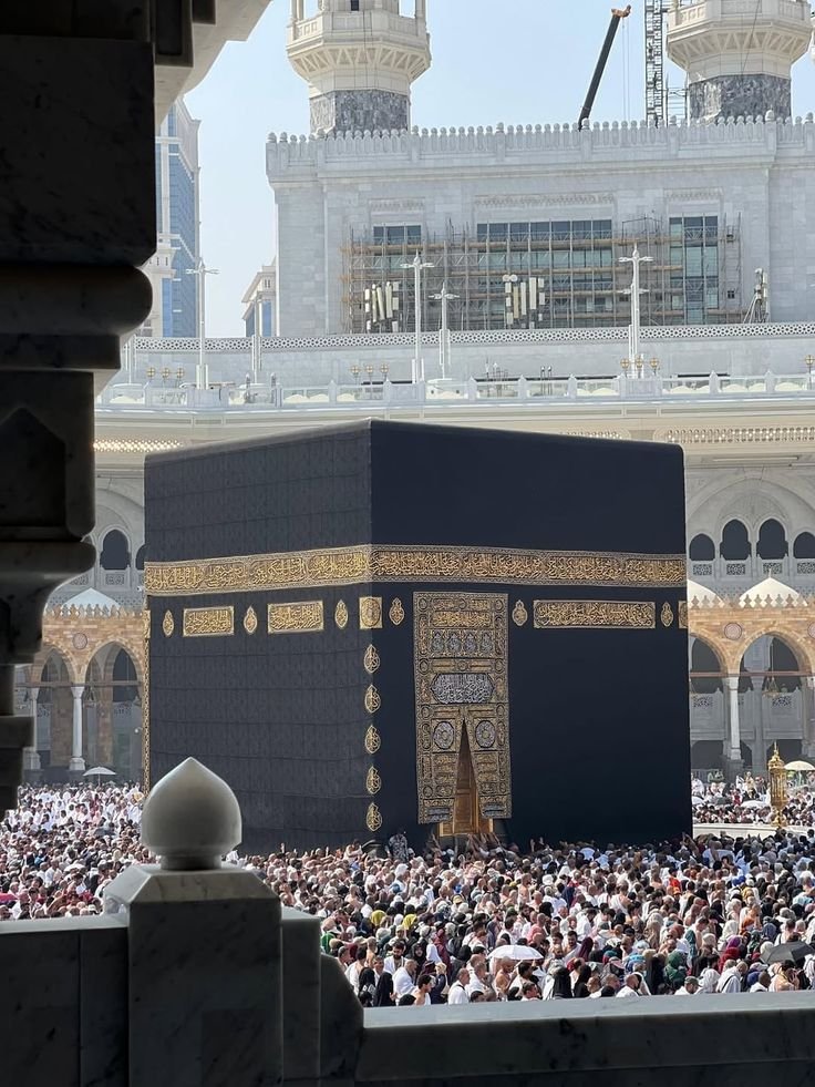 Ummi_hon's tweet photo. اَلسَلامُ عَلَيْكُم وَرَحْمَةُ اَللهِ وَبَرَكاتُهُ🌼
    
🌸صباح الخیر والسعادہ 🌸..

يَا مُقَلِّبَ الْقُلُوْبِ ثَبِّتْ قَلْبِيْ عَليٰ دِينِكْ⁠۝

 ترجمہ: اے دلوں کو پھیرنے والے
میرے دل کو اپنے دین پر ثابت قدم رکھ.

آم��ن ثم آمین۔

#اردوقومی_زبان https://t.co/5AXePRcvmp
