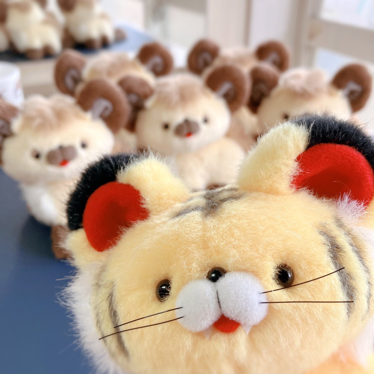 kyancy house キャンシーハウス (@kyancyhouse) / Posts / X