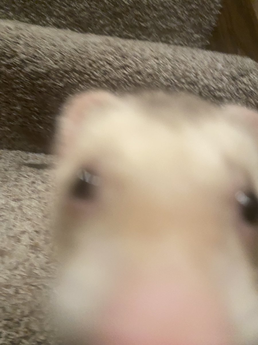 _disequilibrium's tweet photo. i started smoking again whoops anyways check out the thing that bites me https://t.co/h3oyUR1lOO