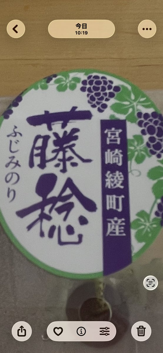 rinrinpap's tweet photo. 綾町ええとこ一度はおいで⚽️

🍇この一粒、主役級。
宮崎・綾町産「藤稔」は、大粒で甘さたっぷり！
夏だけの贅沢、ぜひご賞味ください✨
#綾町 #藤稔 #ぶどう #宮崎グルメ https://t.co/tCW42zMRRm