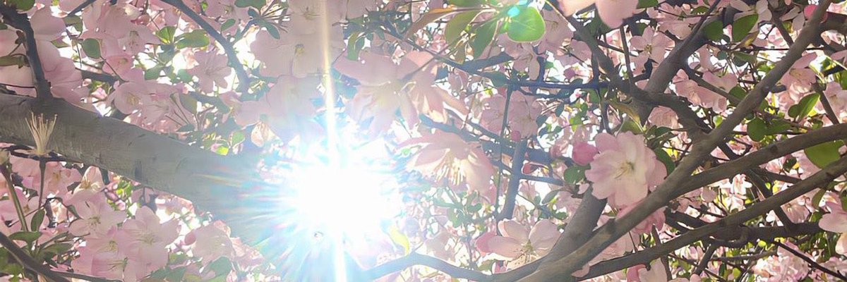 bibo8891's tweet photo. 天气好好  今天出门玩 https://t.co/QwJv8Jjivy