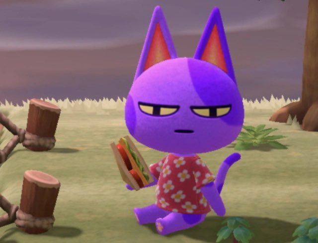 xbreakdowne's tweet photo. me + my fave villager

(recently got back into acnh because my wife is addicted) https://t.co/dmCwkLyyWk