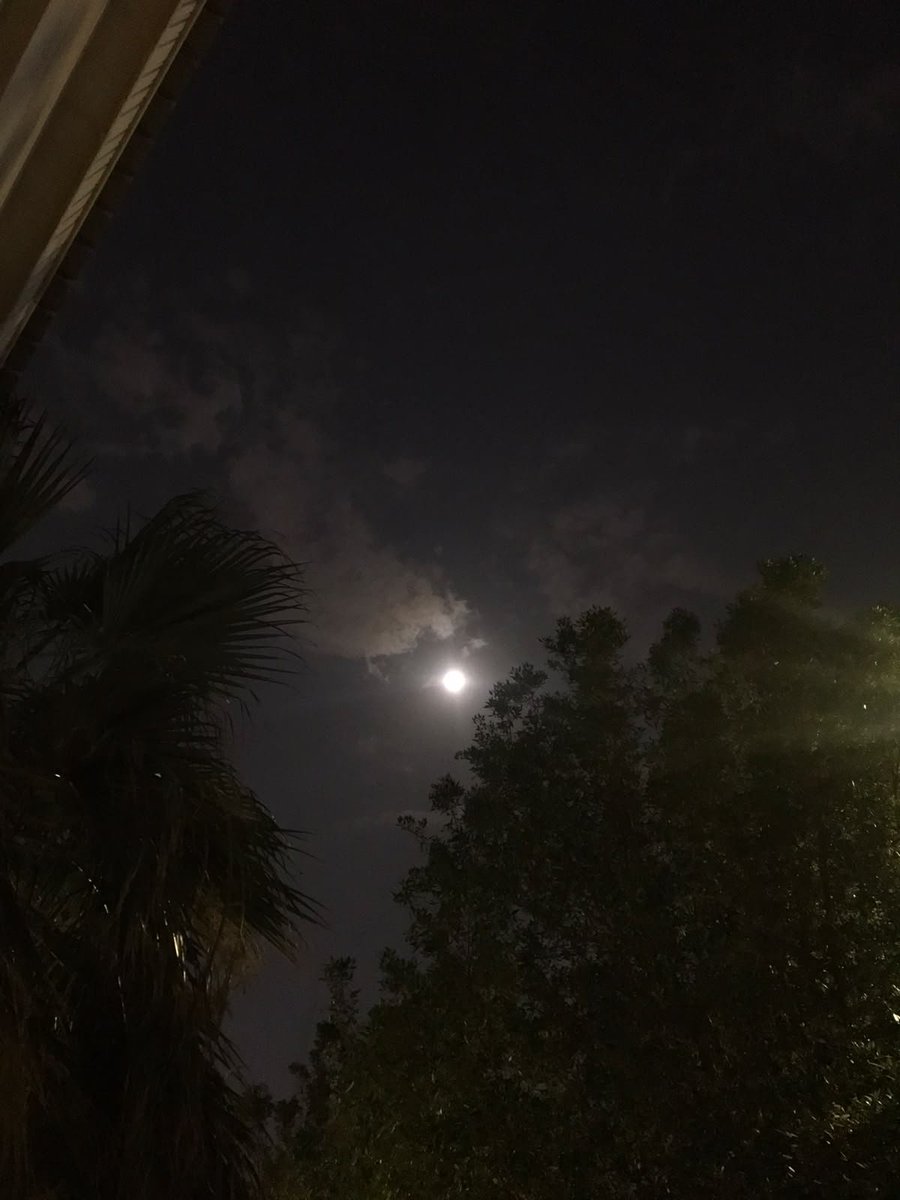 al_ranoosh's tweet photo. كريم النوايا.. مايبي للجميل ردرد
يحده على درب السخى طيب عاداته https://t.co/AtYELQTiLQ