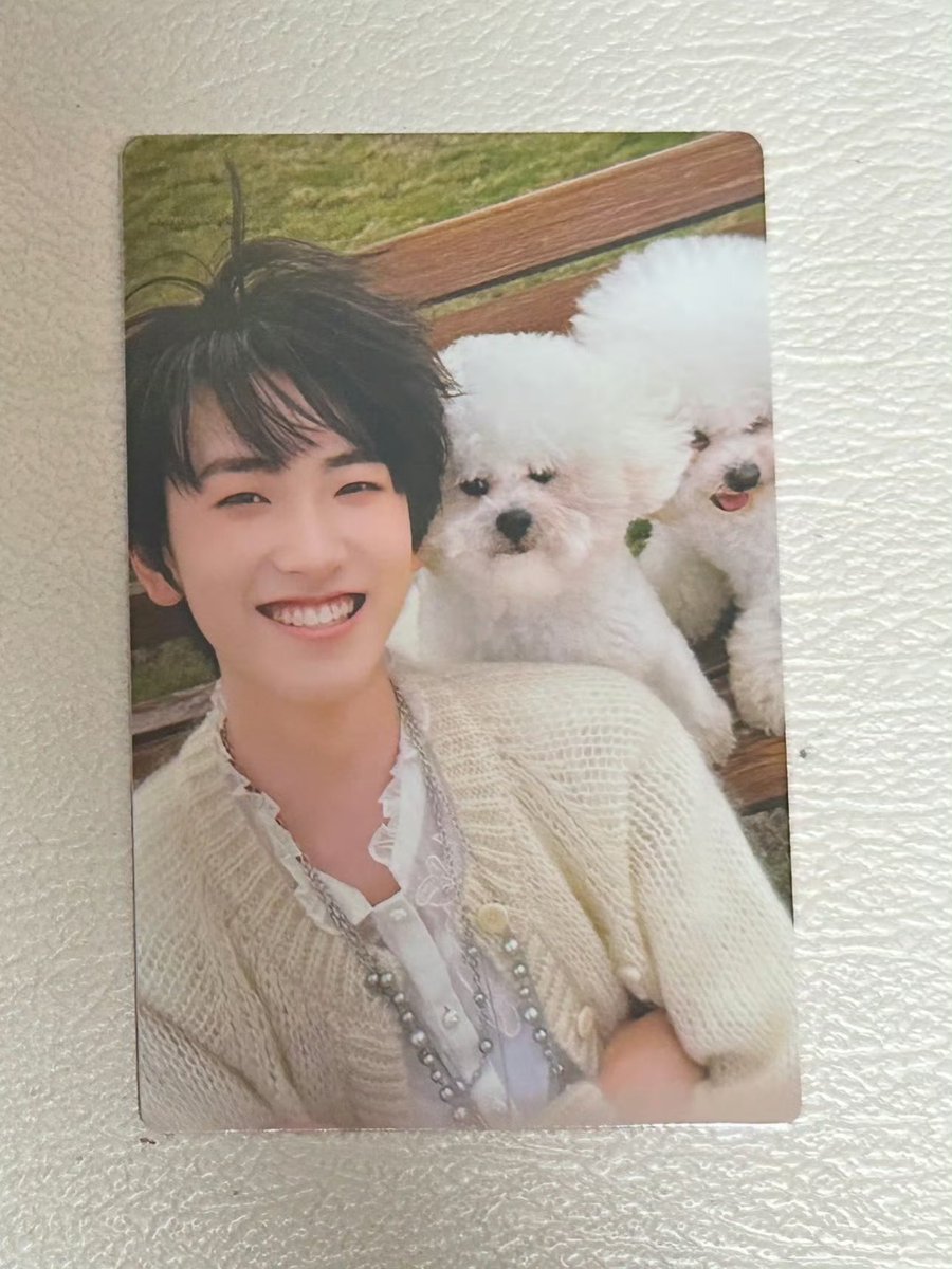 himitsu_namae's tweet photo. ฉีฉี โมมิ พุดดิ้ง 🐹🐶🐶 น่ารักมากกก 🥺 https://t.co/J92yB1jpfQ
