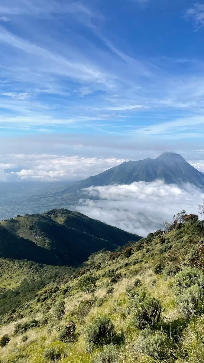 fikoefi's tweet photo. 🗻🌱 https://t.co/pzTiMppkvr