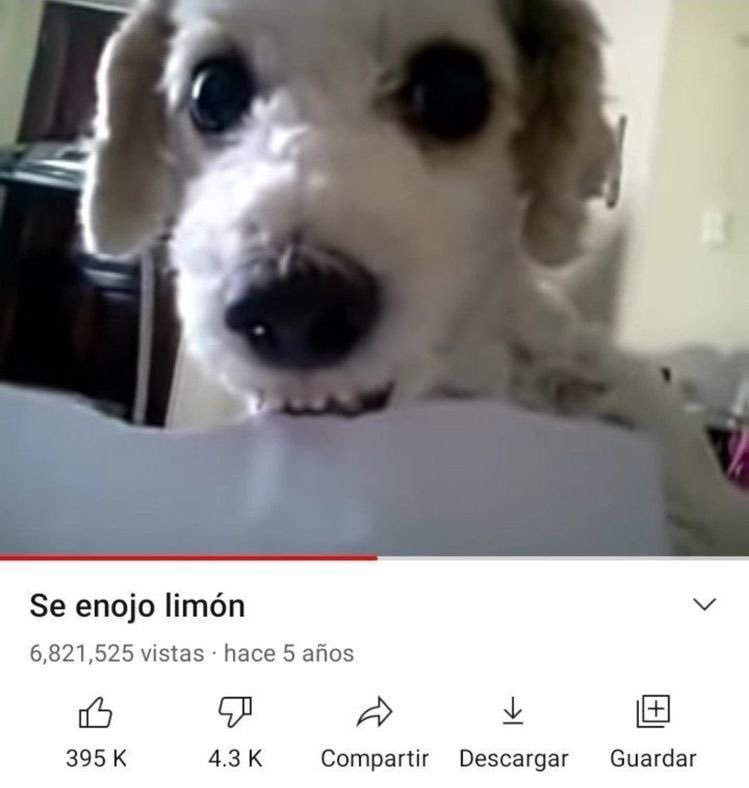 emilivtower's tweet photo. me apareció un post de un ship q odio con mi alma... https://t.co/7ijbO1C1sm