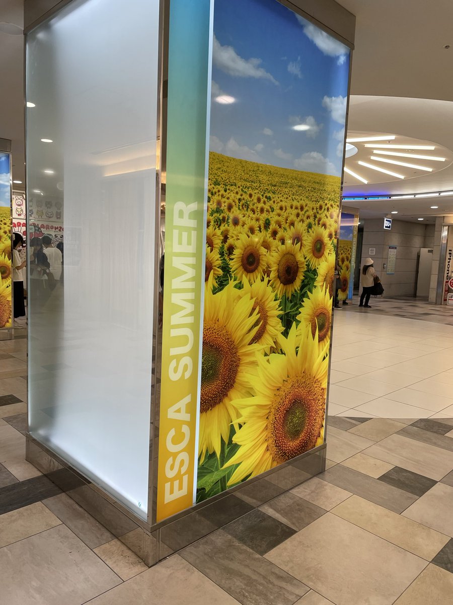 817poman's tweet photo. トイレ探してたら
ひまわりさんめっちゃいた🌻🌻🌻 https://t.co/gpqovOGQDc